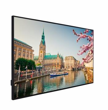 Vestel Digital Signage displej PN43B-4H